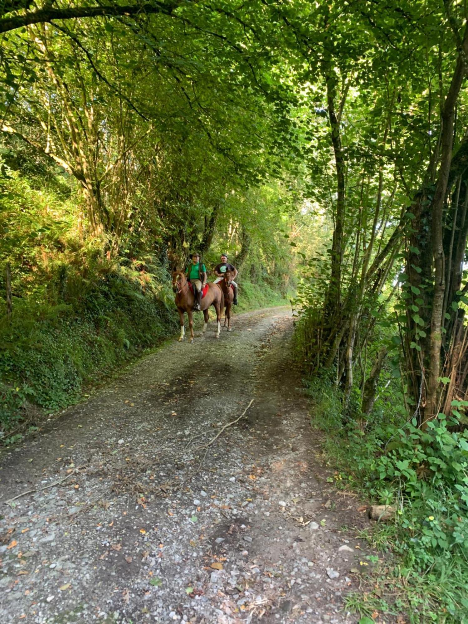 Agroturismo Gure Naia Carranza Bagian luar foto